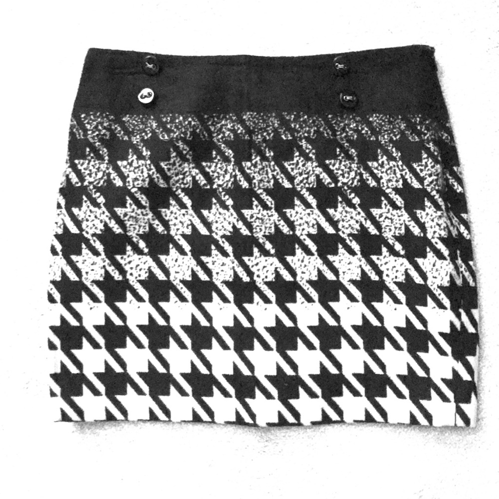The Limited skirt